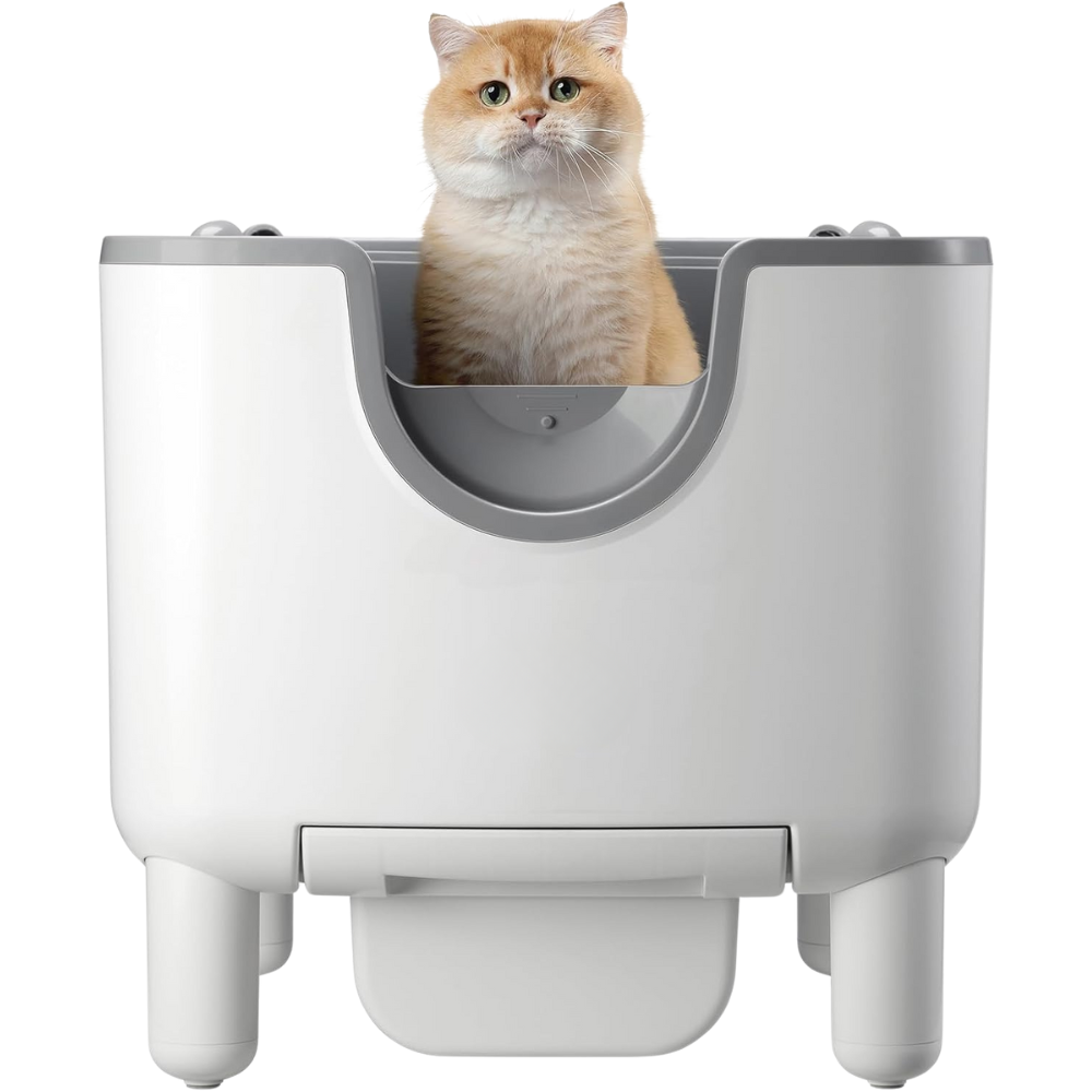 PurrSense™ Intelligent Litter box