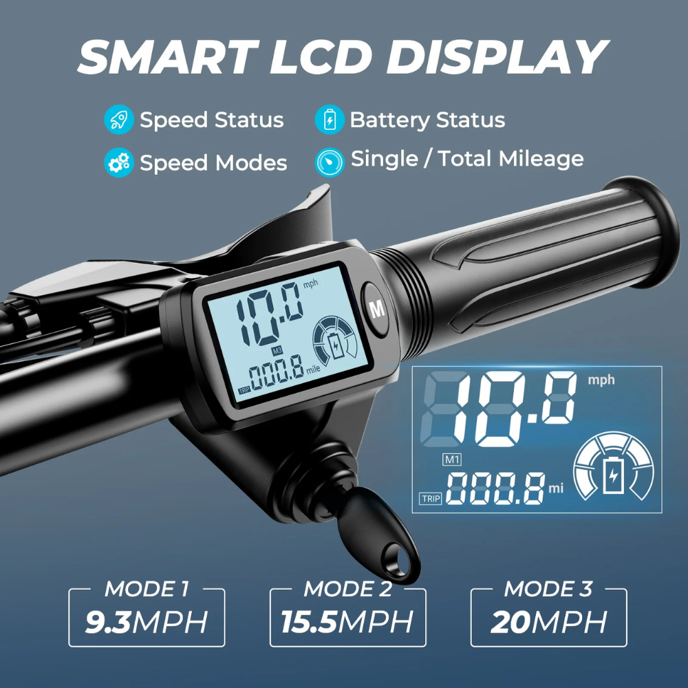 CityCruise™ Family E-Scooter